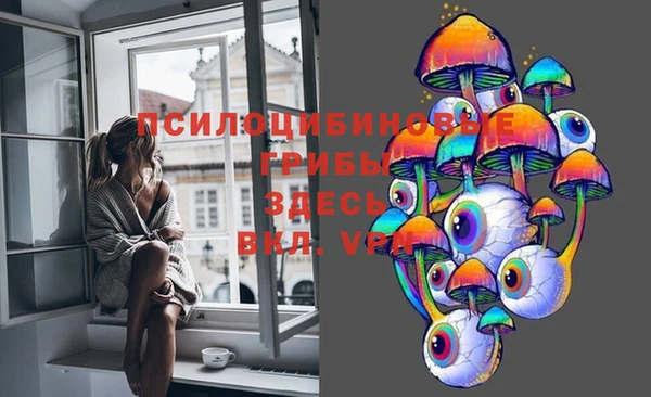 дурь Алексеевка