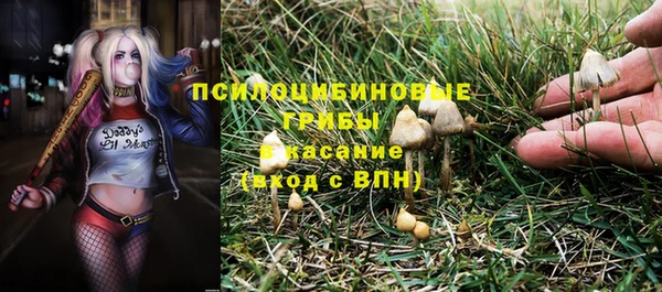 дурь Алексеевка