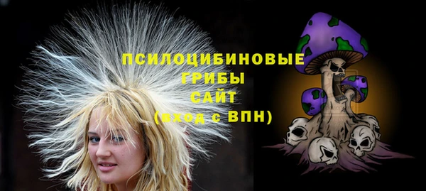 твердый Алексин