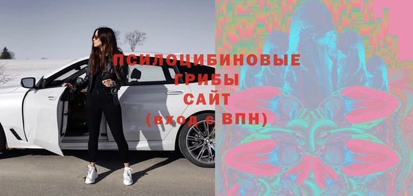 твердый Алексин