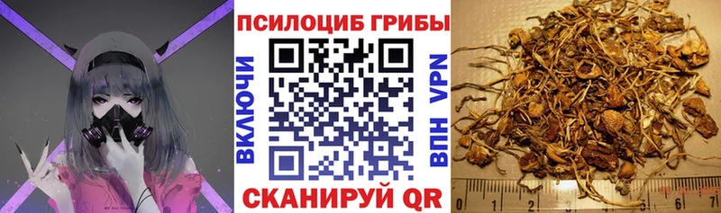 купить наркоту  Анадырь  Псилоцибиновые грибы GOLDEN TEACHER 